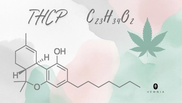 Chemický vzorec THCP (tetrahydrocannabiphorol), list konope, logo Hemnia v pravom dolnom rohu