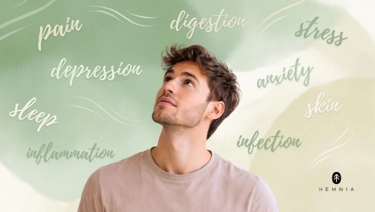 Moški, ki gleda besedilo o tem, pri čem lahko CBD kapsule pomagajo—bolečina, depresija, spanje, prebava, tesnoba, koža, okužbe