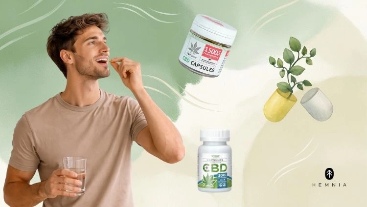Moški, ki jemlje CBD kapsule; ob njem so CBD kapsule in ilustracija CBD kapsul; logotip Hemnia spodaj desno