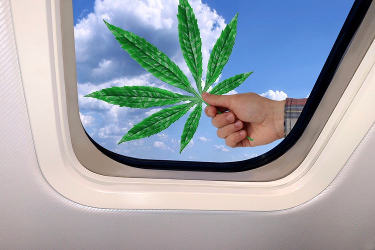 En hand med ett marijuanablad mot en bakgrund av en himmel med moln utanför flygplanets fönster, begreppet resa