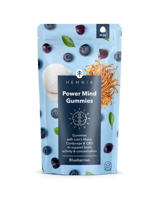 Power mind gummies - добавка для підтримки концентрації та пам'яті, 20 шт. по 2,2 г