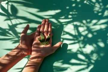10 facts about CBD that will come in handy