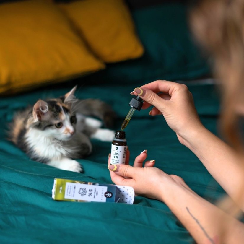 CBD-öljy kissoille - 5 % CBD, 500 mg, 10 ml