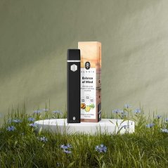 Balance of Mind - Premium funktionell CBD-, CBG- och CBN-vapepenna, ginseng, citronmeliss, rosmarin, 1 ml