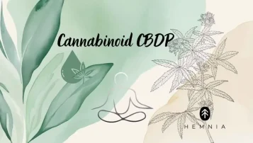 Text: cannabinoid CBDP in a natural motif complemented by a cannabis plant, relaxation symbol and Hemnia logo Text: cannabinoid CBDP in a natural motif complemented by a cannabis plant, relaxation symbol and Hemnia logo