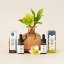 CBD-öljy kissoille - 5 % CBD, 500 mg, 10 ml