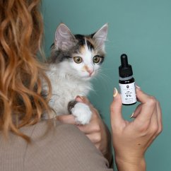 CBD-öljy kissoille - 5 % CBD, 500 mg, 10 ml