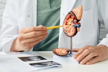 How CBD oil can help with kidney disease