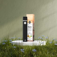 Balance of Mind - Premium funktionel CBD, CBG og CBN Vape Pen, ginseng, citronmelisse, rosmarin, 1 ml