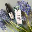 Full spectrum CBD Coconut oil 10%, 1000 mg, 10 ml with mint flavour