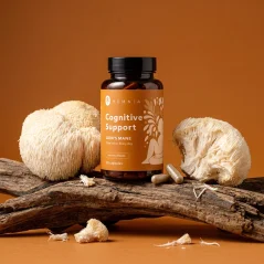 Hemnia Lion’s Mane Capsules 30 x 500mg