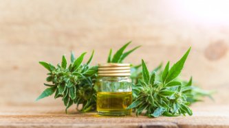 Kas ir H4CBD? Ielūkojieties laboratorijā un atklājiet šī retā kanabinoīda iedarbību.