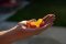 15 Vorteile von CBD-Gummis und anderen CBD-Süßigkeiten