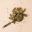 Omnia CBG - CBG-rik cannabis, 150 g