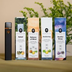 Relief - Premium funktionell CBD- och CBN-vapepenna, valeriana, ingefära, 1 ml