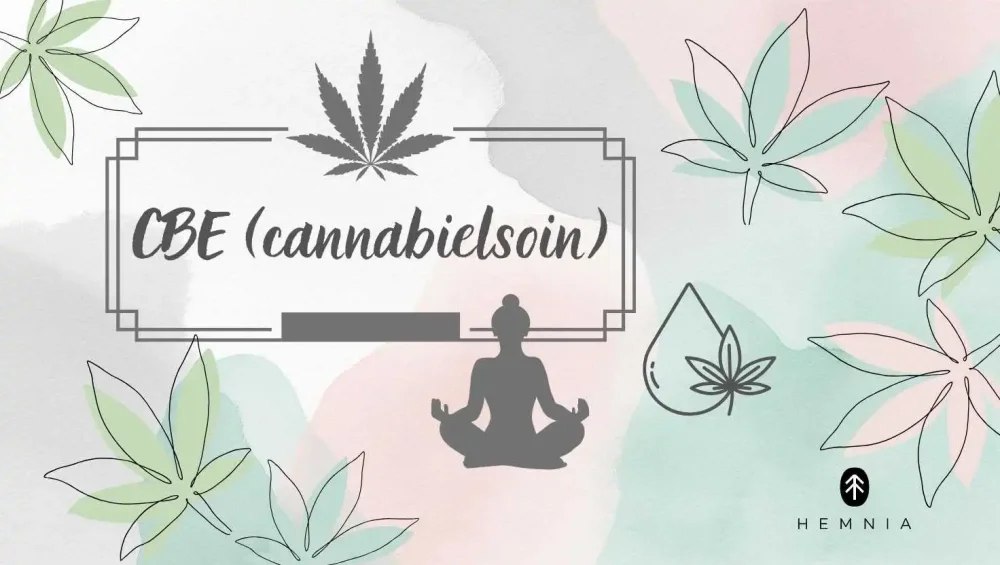 CBE (cannabielsoin) – image with hemp leaves, a drop, and the silhouette of a meditating figure, signifying the relaxing effects of CBE, Hemnia logo