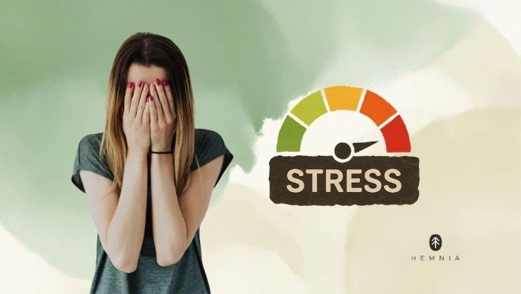 A woman covering her face, next to an indicator of high stress levels; the Hemnia logo at the bottom right