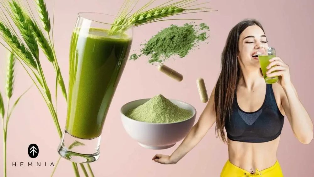 Green food green barley, green barley drink and powder, woman enjoys drinking barley, complete with Hemnia logo