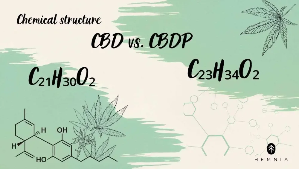 Representation of the chemical structure of CBD vs. CBDP
